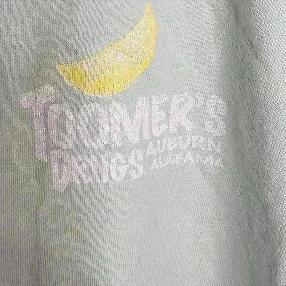 Comfort Colors Tee Short Sleeve Mint Green Tiger Graphic Size Small - Picture 3 of 5